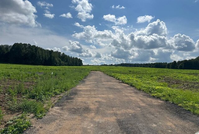 коттеджный поселок «Сорочаны» городской округ Клин фото