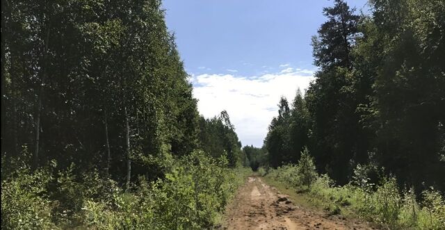 массив Славянка снт Парус Мгинское городское поселение, Славянка садовое товарищество фото