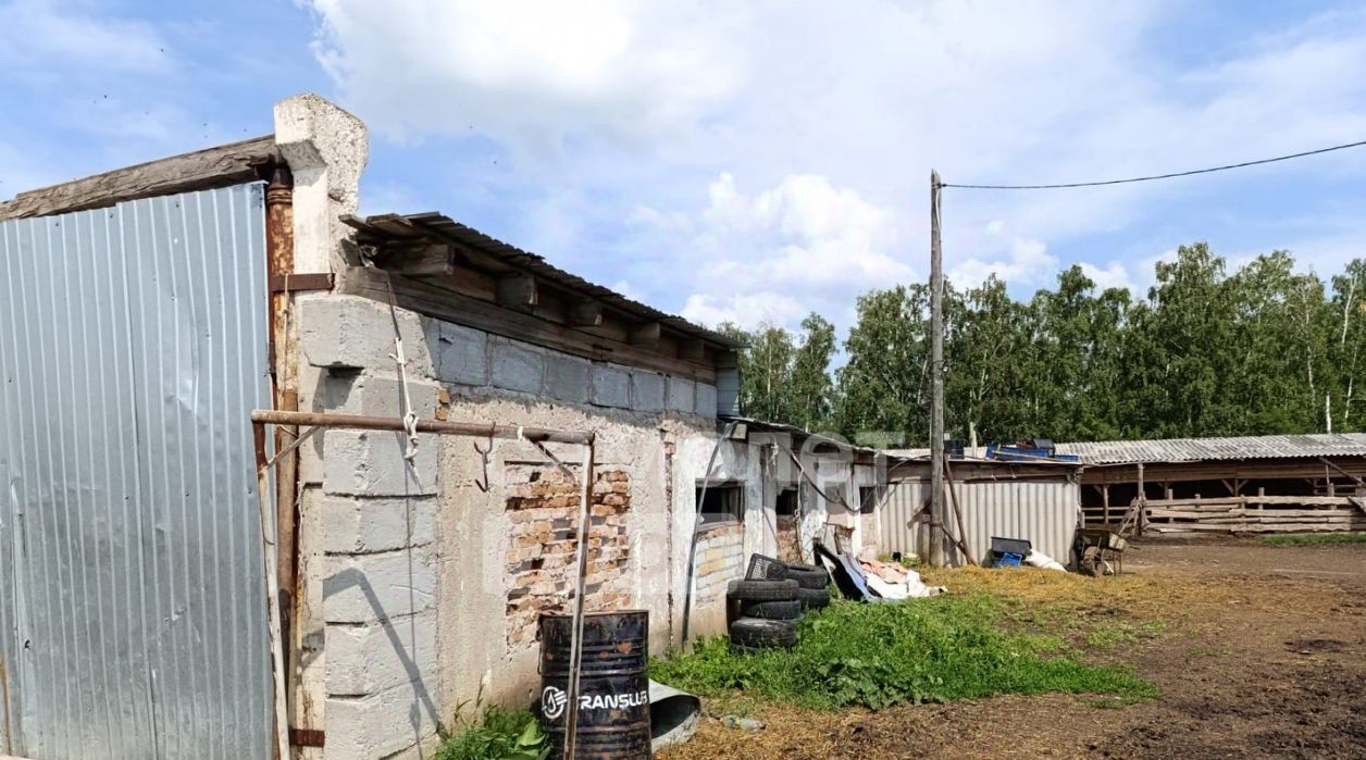 производственные, складские р-н Таврический д Лапино ул Центральная Ленинское с/пос фото 3