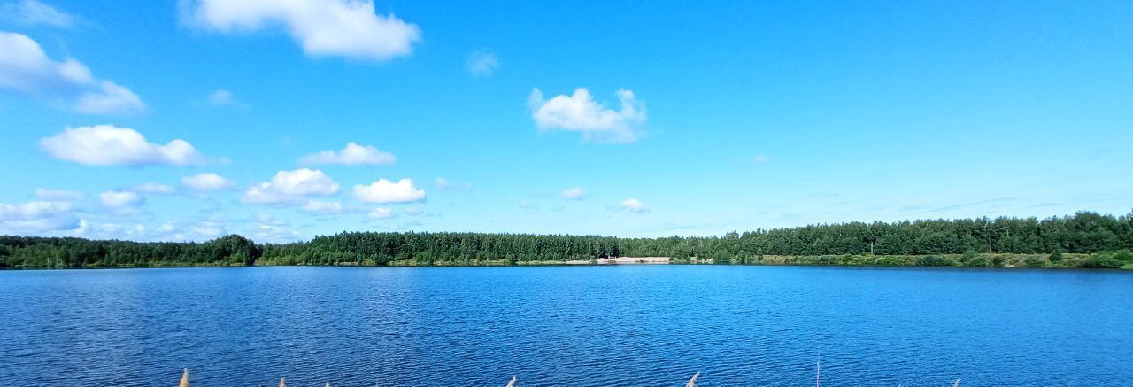 земля городской округ Павловский Посад д Дальняя снт Малахит ул. 2-я фото 6