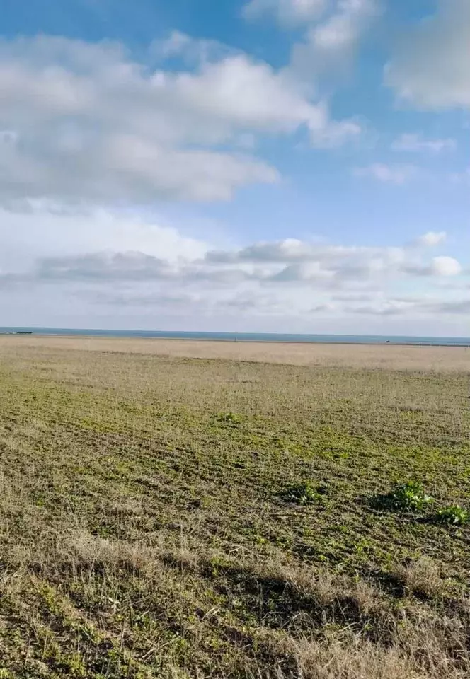 земля р-н Черноморский с Громово Окунёвское сельское поселение фото 2