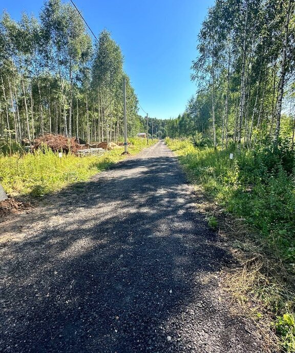 земля городской округ Дмитровский д Елизаветино фото 14