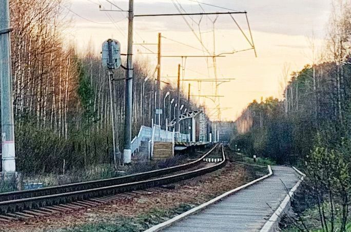 дом р-н Всеволожский д Проба ш Пробинское Дорога жизни, 21 км, Рахьинское городское поселение, Рахья фото 29