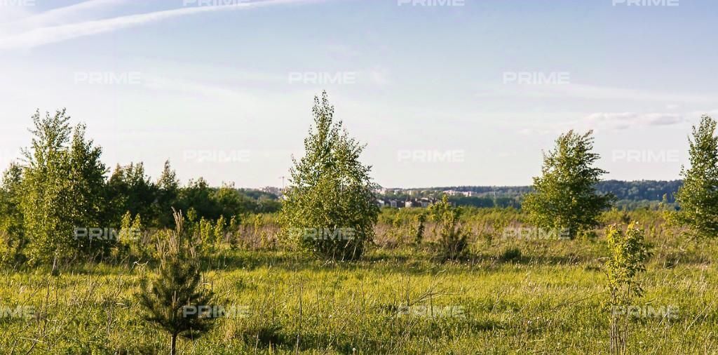 земля городской округ Красногорск д Александровка ул Центральная Павшино фото 2