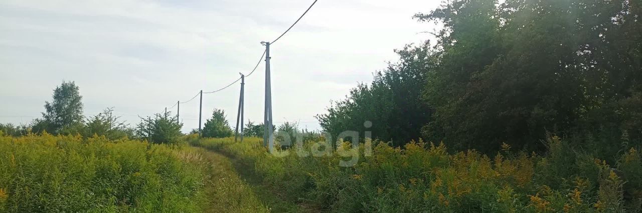 земля р-н Зеленоградский п Осокино снт тер.Природа ул Полевая Зеленоградский муниципальный округ фото 1