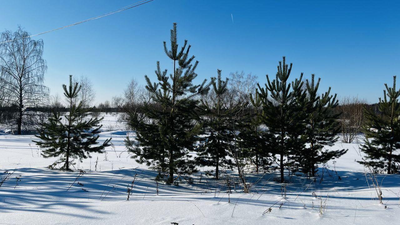 земля городской округ Дмитровский п Подосинки фото 13