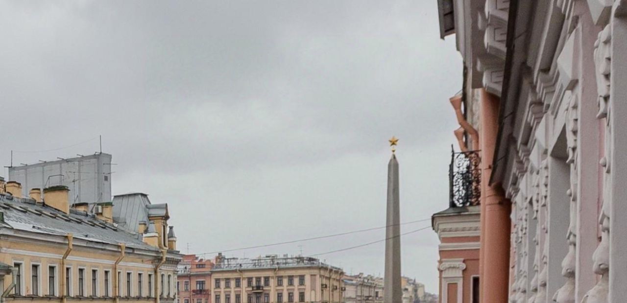 квартира г Санкт-Петербург метро Площадь Восстания пр-кт Невский 124 фото 15