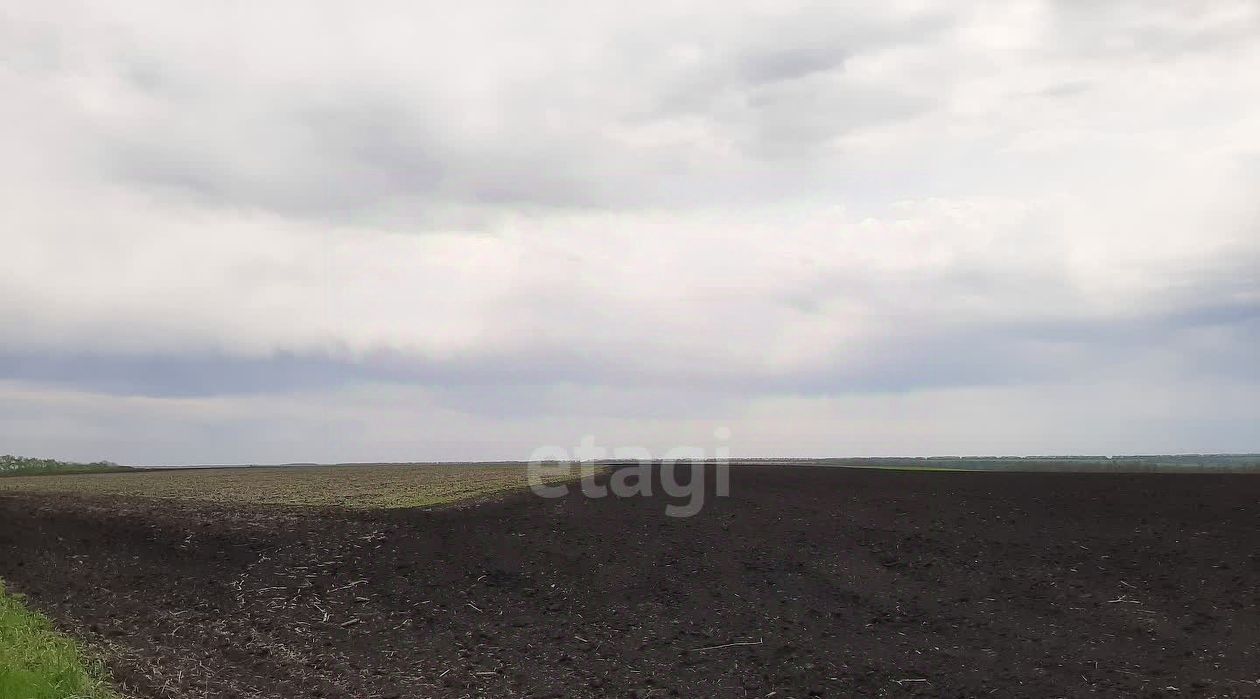 земля р-н Красногвардейский с Верхняя Покровка Верхнепокровское с/пос фото 3