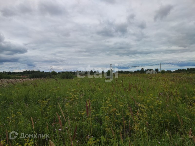 городской округ Тюмень, садовое общество Дубок фото