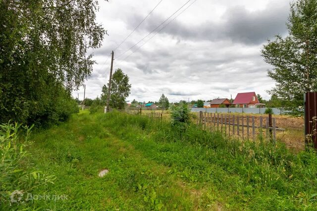 городской округ Тюмень, Грушевая улица фото