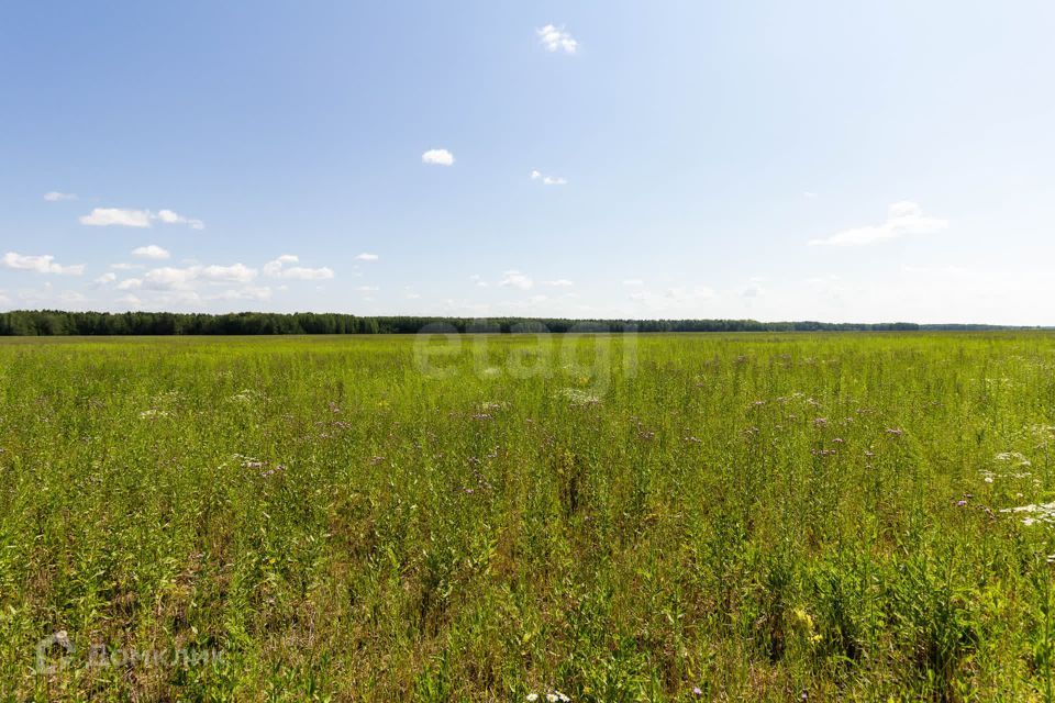 земля р-н Тюменский село Кулига фото 4