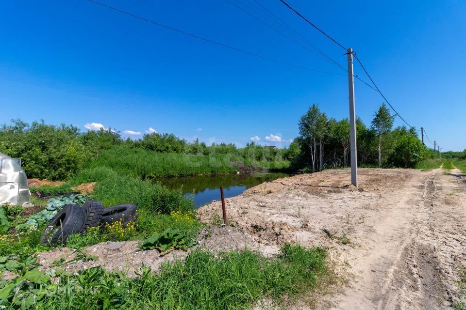 земля г Тюмень снт Царево ул Ясная городской округ Тюмень фото 3