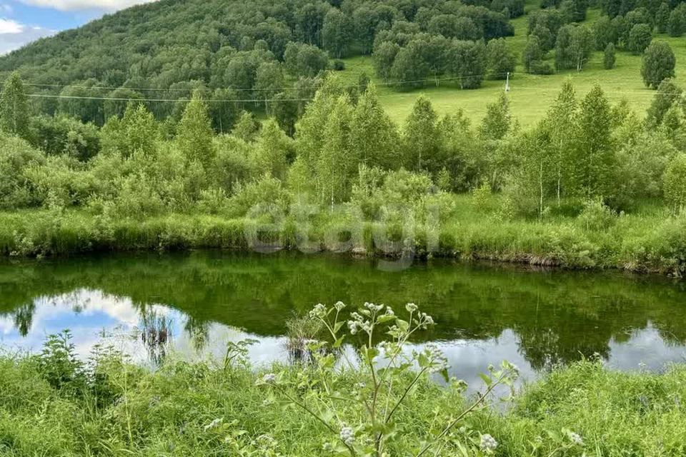 земля р-н Солонешенский Солонешное фото 1