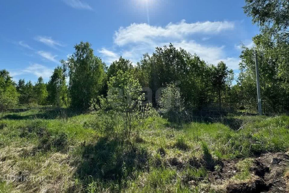 земля р-н Нижнетавдинский село Тюнево фото 6