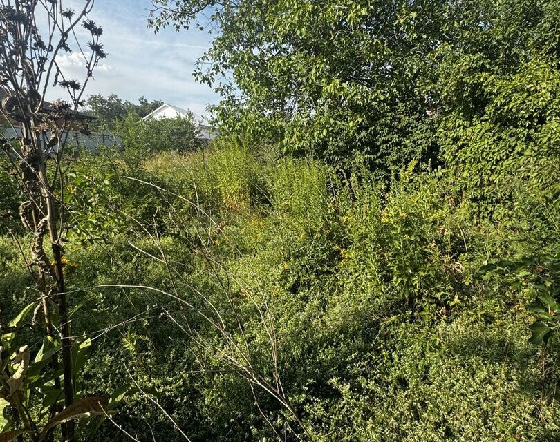 земля г Новочеркасск городской округ Новочеркасск, садовое товарищество № 9 фото 3