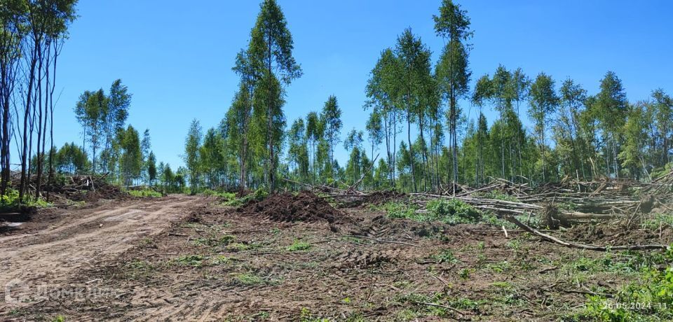 земля муниципальное образование Тула, Зареченский территориальный округ фото 4