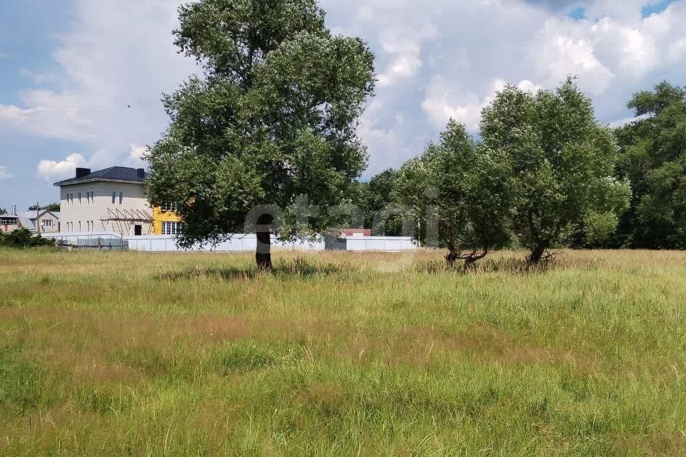 земля г Воронеж р-н Железнодорожный городской округ Воронеж, микрорайон Репное фото 6