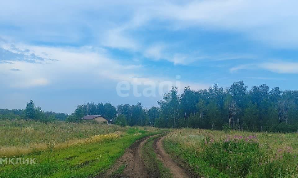 земля р-н Сосновский деревня Осиновка фото 10