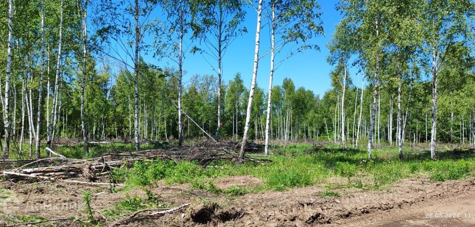 земля Тула городской округ, Федоровка фото 8