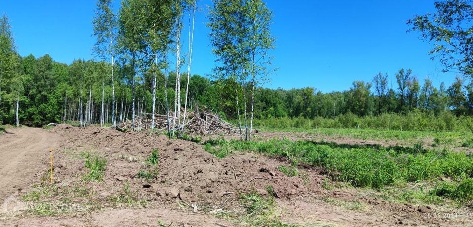 земля Тула городской округ, Федоровка фото 10