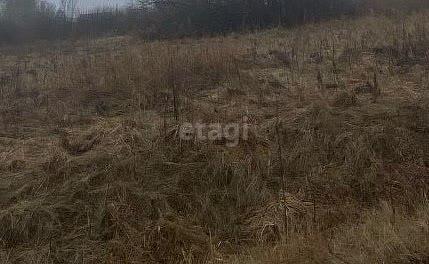 земля г Алапаевск фото 5