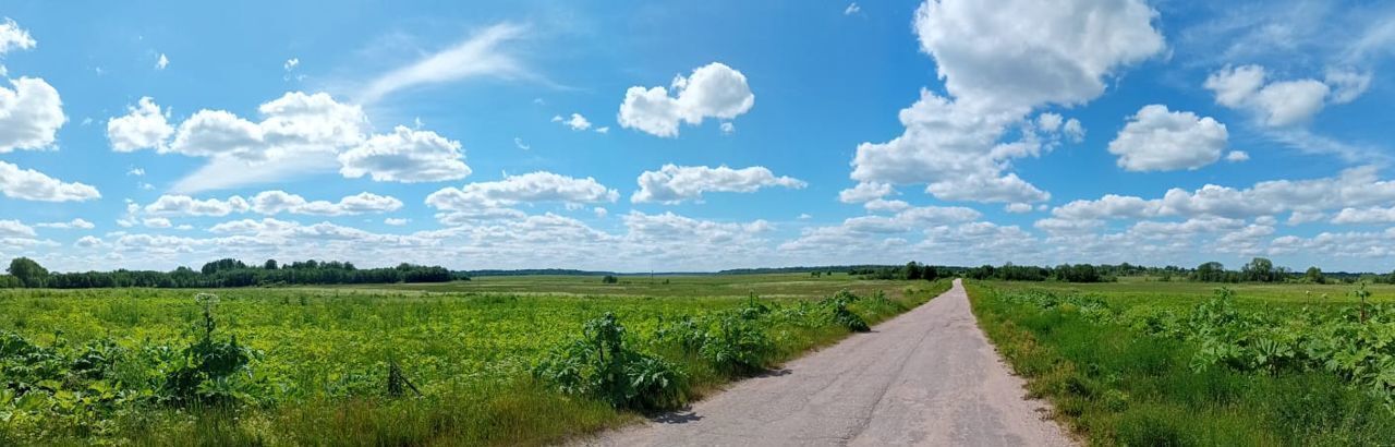 земля р-н Лужский д Сорочкино ул Лесная Мшинское с/пос фото 6