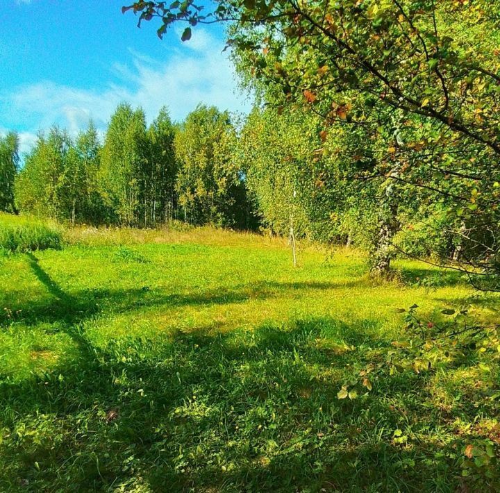 дом р-н Александровский г Струнино ул Чайкиной 7 фото 27