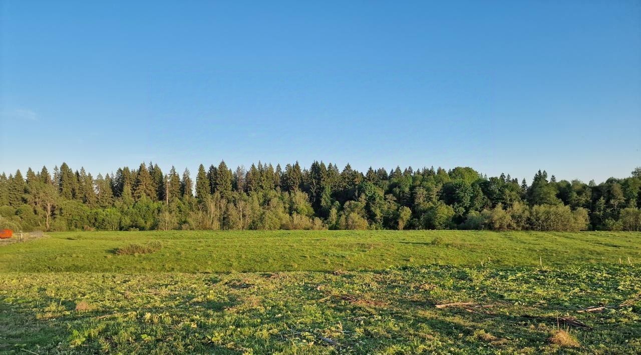 дом городской округ Можайский с. ДНП Старое фото 19