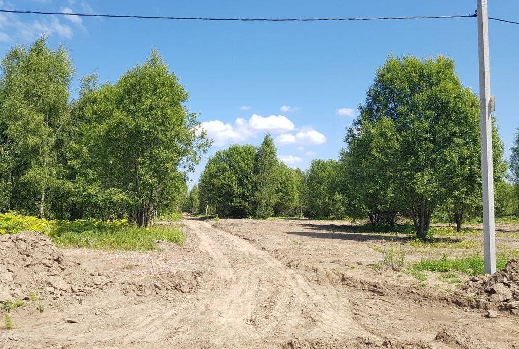 земля городской округ Рузский д Андрейково фото 11