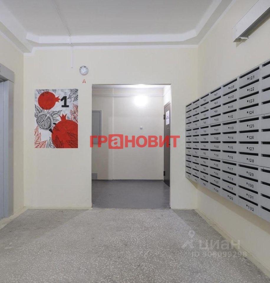 квартира г Новосибирск р-н Кировский пер 2-й Гранатовый 50 ЖК «Гранатовый» фото 13