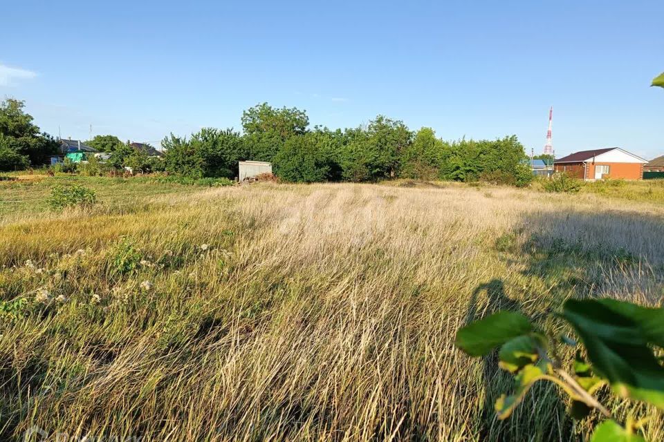 земля р-н Ейский село Александровка фото 1