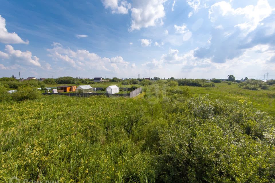 земля г Тюмень городской округ Тюмень, садовое товарищество Рябинка-2 фото 5