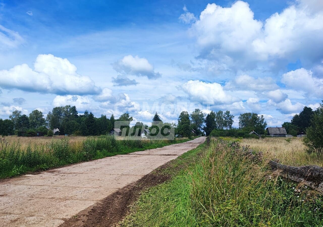 земля р-н Батецкий д Подберезье 61, Ленинградская область, Луга фото 10