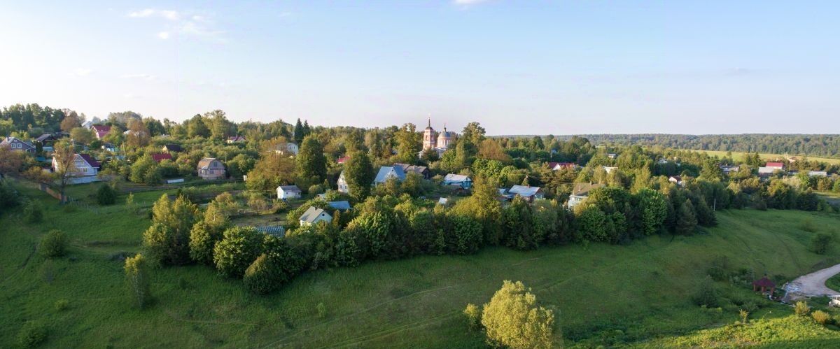 земля городской округ Ступино д Теняково фото 3