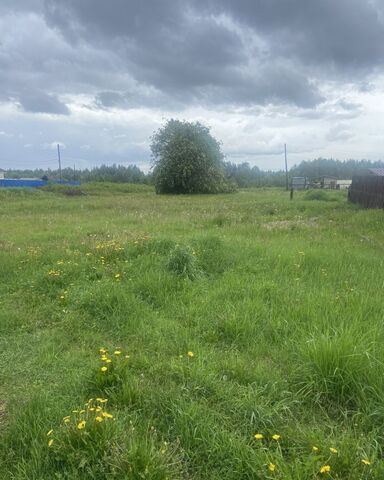 земля п Сосновец ул Матросова Беломорск фото