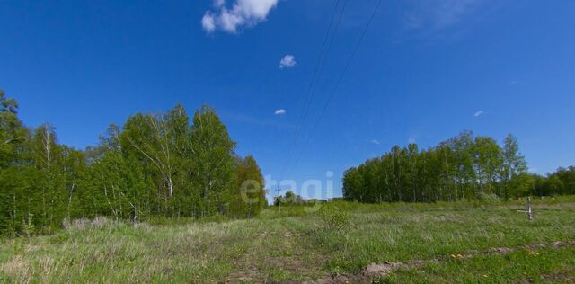 Зоркальцевское с/пос, Вольная Слобода ДНП, проезд Западный, 2 фото