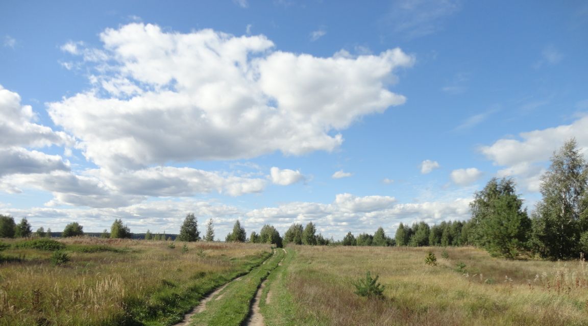 земля р-н Городецкий г Городец фото 4