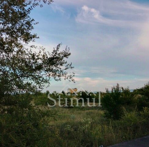 снт Залив дачное общество фото