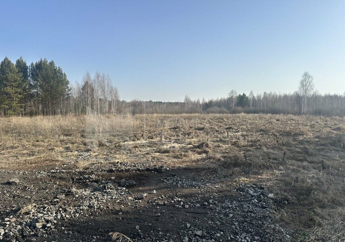 земля р-н Нижнетавдинский снт Березка Тюмень фото 5