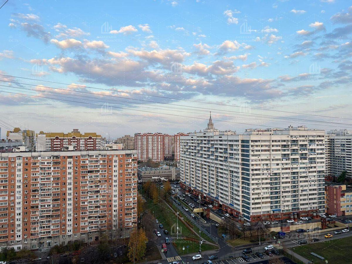 квартира г Москва метро Раменки ЗАО пр-кт Мичуринский 27/2 Московская область фото 15