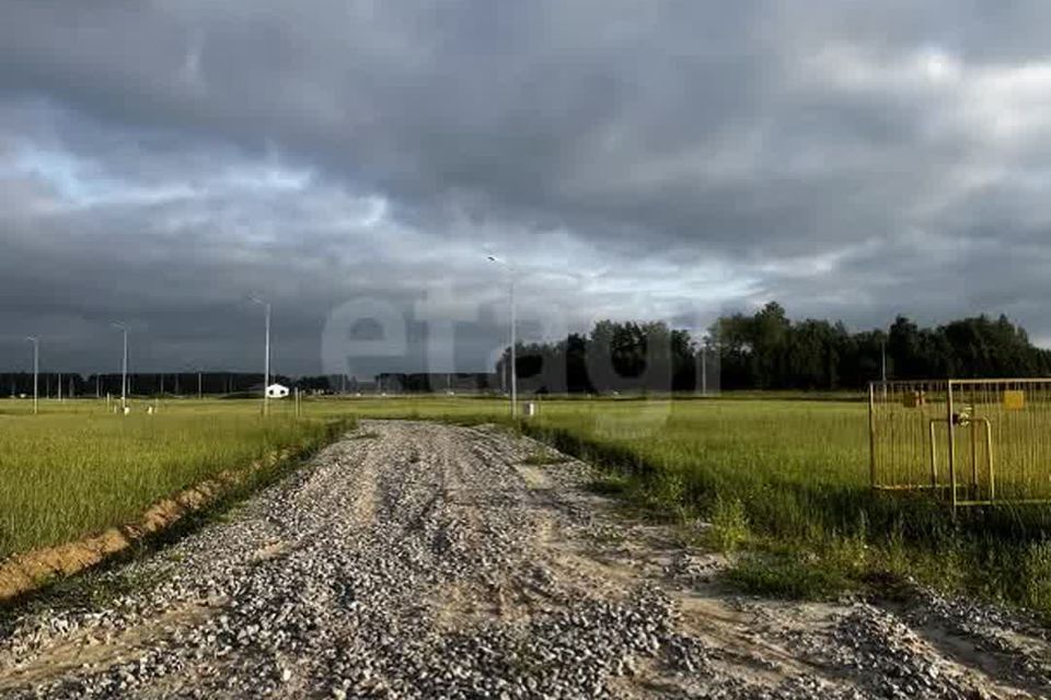 земля р-н Тюменский с Каменка Каменское кладбище фото 2