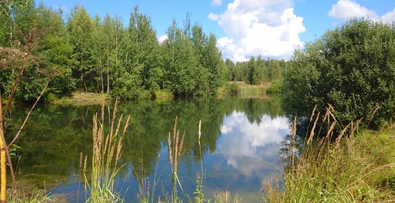 земля городской округ Сергиево-Посадский г Краснозаводск 70 км, коттеджный пос. Яркое, Ярославское шоссе фото 4