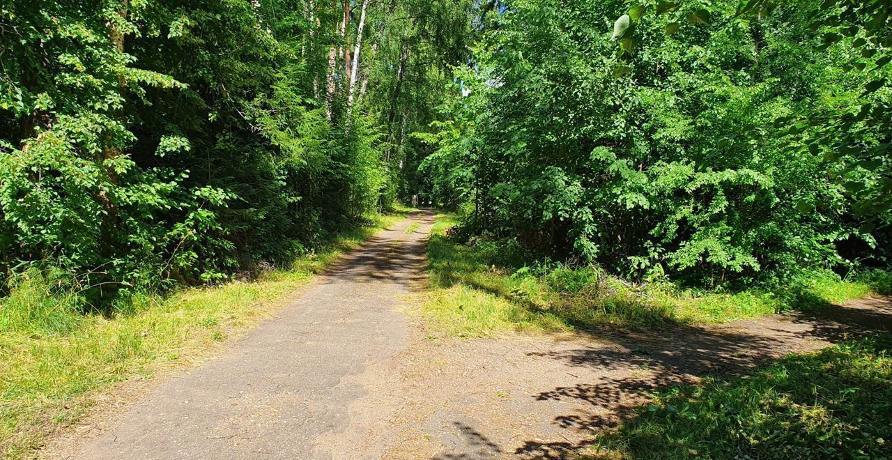 офис городской округ Одинцовский п Криуши 6А, Старый Городок фото 4