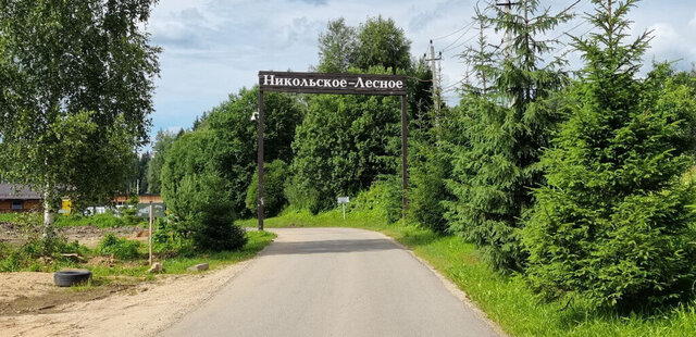 Зеленоград — Крюково, коттеджный посёлок Никольское-Лесное фото