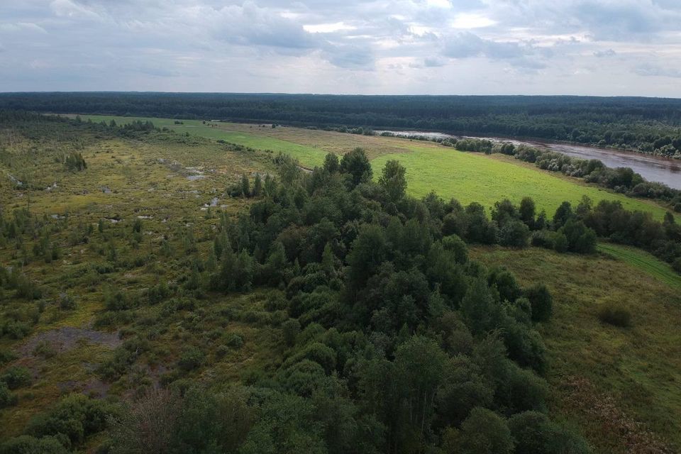 земля р-н Волховский деревня Медвежья Кара фото 1