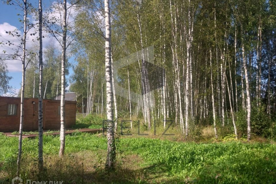 земля городской округ Наро-Фоминский СНТ Репка фото 3