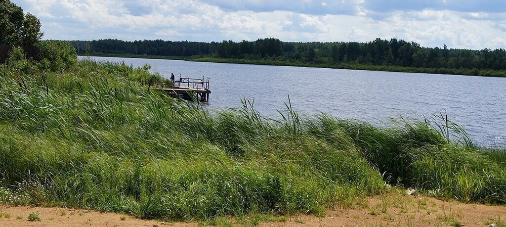 земля городской округ Клин д Губино днт Чистые пруды фото 3