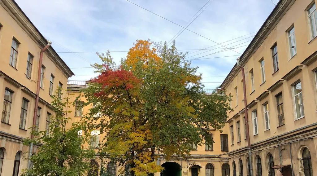 квартира г Санкт-Петербург метро Садовая ул Гороховая 19б Сенной округ фото 33