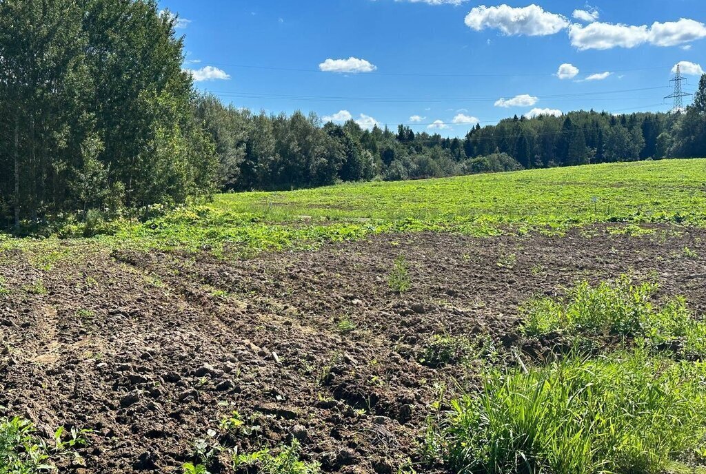 земля городской округ Клин д Золино ул Цветочная фото 12