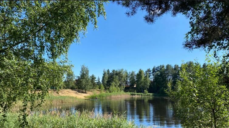 дом г Раменское снт тер.Подснежник ул 3-я Садовая Раменский городской округ фото 27